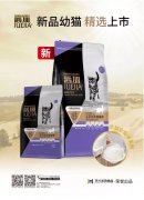 爵加新品幼貓精選上市！