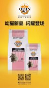 奧丁精品幼貓糧閃耀登場?。。?></div>
                <div>
                    <h2>奧丁精品幼貓糧閃耀登場?。。?/h2>
                    <div><span>2019-06-27

</span><span>查看更多</span></div>
                </div>
            </a><li>
             <a href=