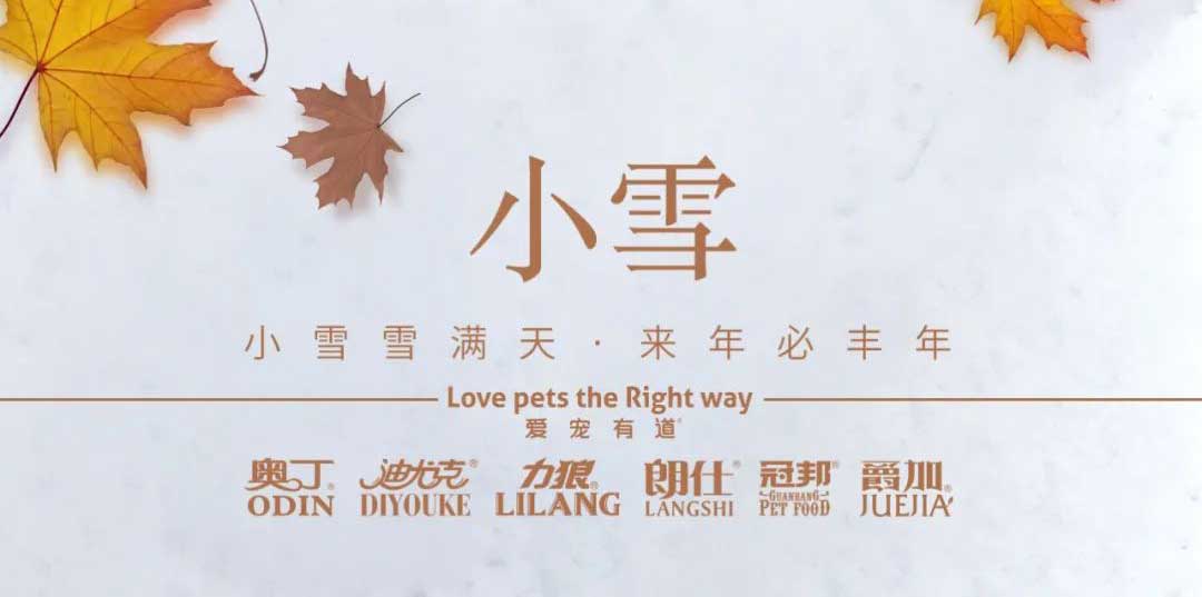 小雪丨天地初寒，歲月安暖